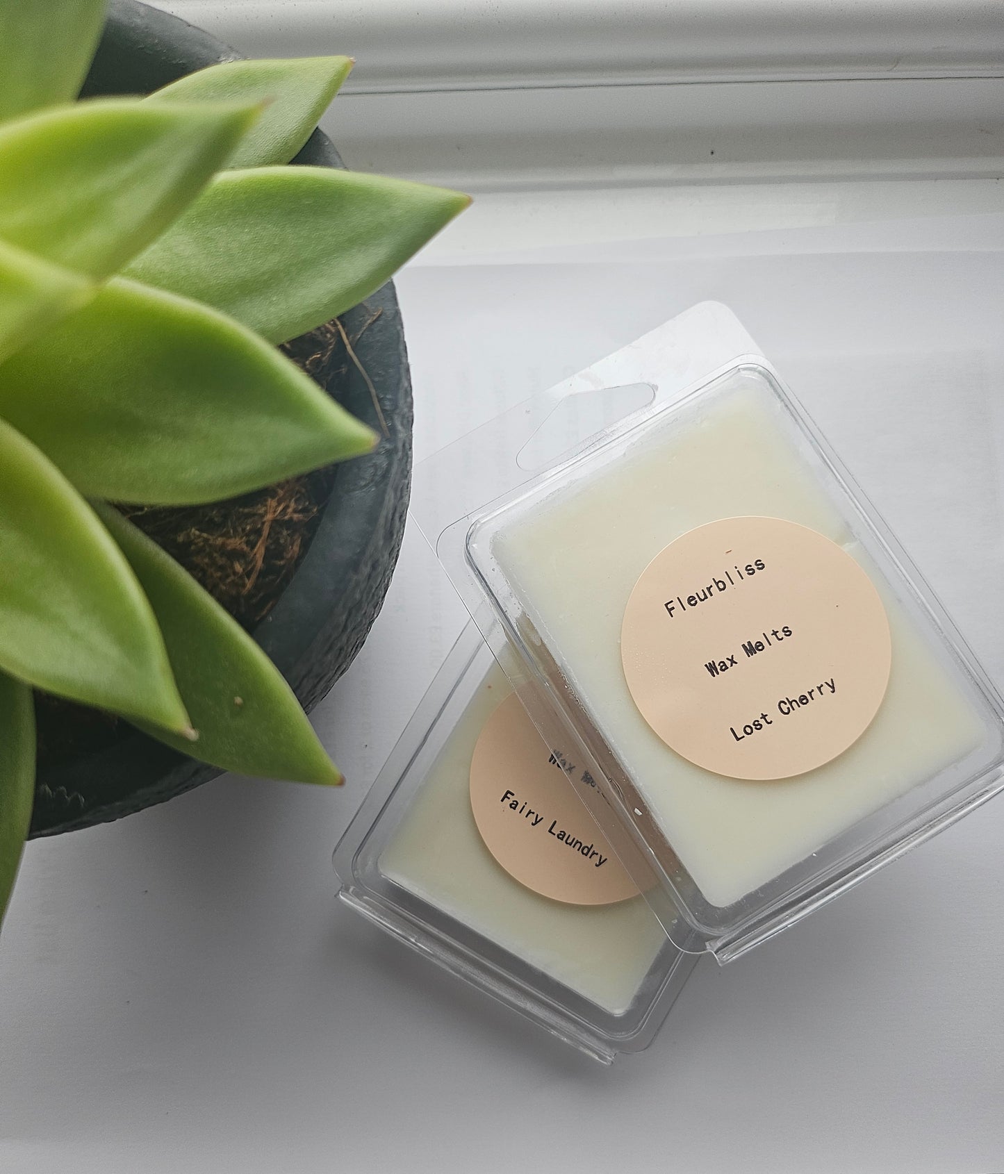 Wax Melts 6 Piece Clamshell